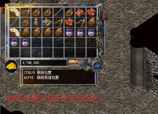 ��ο��ٴ�1������300����