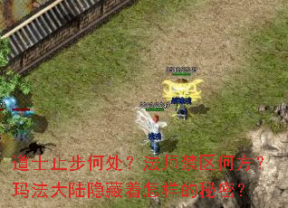 ��ʿֹ���δ�����ʦ�����η����귨��½���������������ܣ�