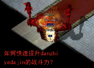 ��ο�������danzhiyedajin��ս������