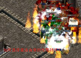 ���ѡ�����ʺ���Ĵ����ţ�