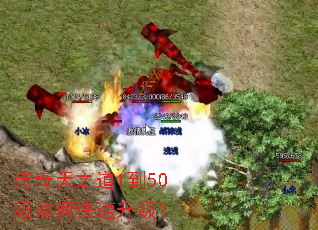 ������֮��1��50����ο���������