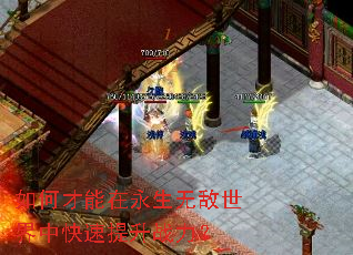 如何才能在永生无敌世界中快速提升战力? 如何才能在永生无敌世界中快速提升战力?