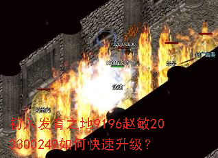 初入发育之地9196赵敏203300249如何快速升级? 初入发育之地9196赵敏203300249如何快速升级?