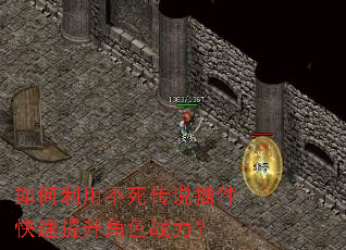 如何利用不死传说插件快速提升角色战力? 如何利用不死传说插件快速提升角色战力?