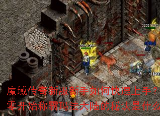 ħ�����·�������ο������֣����㿪ʼ�ư��귨��½���ؾ���ʲô��