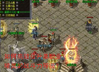 ��θ�Ч������ְҵ�����ս�����ȼ���