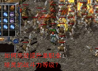 ��θ�Ч������ְҵ�����ս�����ȼ���