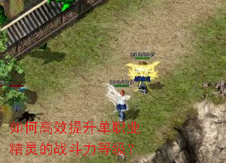 如何高效提升单职业精灵的战斗力等级? 如何高效提升单职业精灵的战斗力等级?