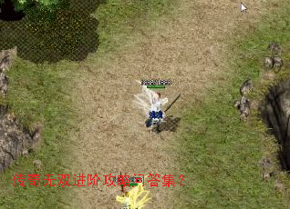 传奇无双进阶攻略问答集? 传奇无双进阶攻略问答集?