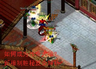 ��γ�Ϊ��������·���ʤ����ȫ����