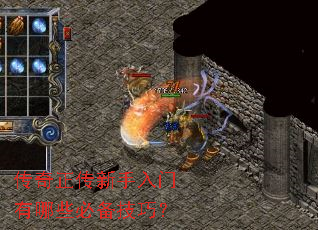 传奇正传新手入门有哪些必备技巧? 传奇正传新手入门有哪些必备技巧?