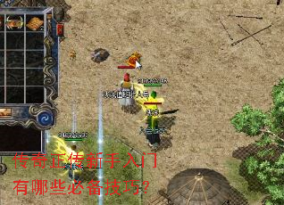传奇正传新手入门有哪些必备技巧? 传奇正传新手入门有哪些必备技巧?