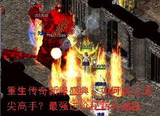 ���������·�ʢ�䣺��γ�Ϊ������֣���ǿ�����ؼ������