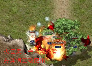 ����¼����߼����鵤�����ȷʹ�ã�