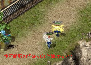传奇新服如何添加群体治疗技能? 传奇新服如何添加群体治疗技能?