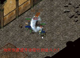 ��ο��������������ս������