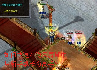 ��ο���������ħ���д����ֳɳ�Ϊ���֣�