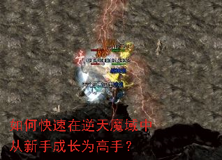 ��ο���������ħ���д����ֳɳ�Ϊ���֣�