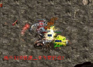 ������ο������ִ�����Ϸ��