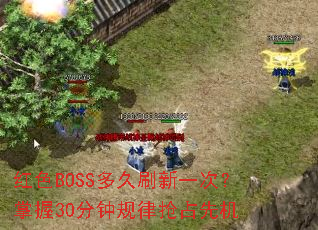 ��ɫBOSS���ˢ��һ�Σ�����30���ӹ�����ռ�Ȼ�