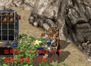 ��������Ϲ���ʯ��ר��NPC�ı�ʬ���ʣ�