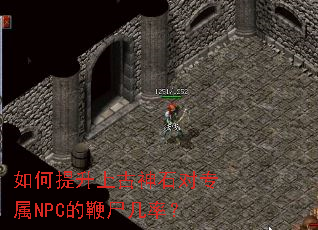 ��������Ϲ���ʯ��ר��NPC�ı�ʬ���ʣ�