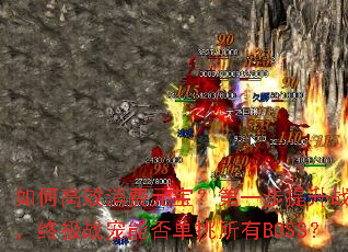 ��θ�Ч����Ԫ������һ������ս�裬�ռ�ս���ܷ�������BOSS��