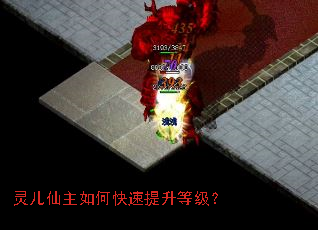 ���������ο��������ȼ���