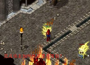 ���������ο��������ȼ���