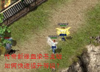 �����·�ѪȾ��������ο��������ȼ���