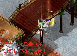 �����·�ѪȾ��������ο��������ȼ���