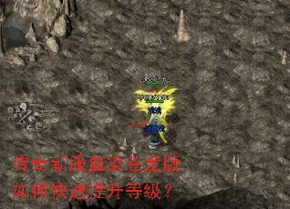 �����·�ѪȾ��������ο��������ȼ���