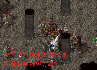 ���°汾��ʿ��ο��������ٻ����޵ȼ���