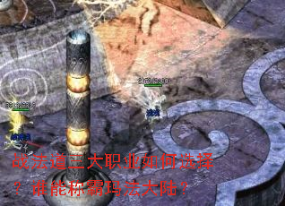 ս��������ְҵ���ѡ��˭�ܳư��귨��½��