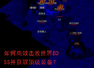 ��θ�Ч��������BOSS����ȡ����װ����