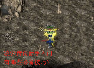 ���ƴ���������������Щ�ر����ɣ�