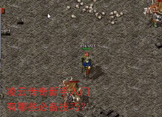 ���ƴ���������������Щ�ر����ɣ�