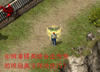 �������Ӣ�ۺϻ�������ռ������ͷż��ɣ�