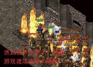 ���������н��ˣ�������Ϸ�ٳɹ��Դ����