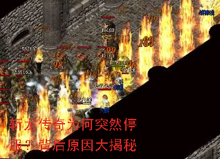 ն������Ϊ��ͻȻͣ��������ԭ������