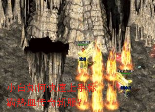 С����ο������ֳư���Ѫ�����·���