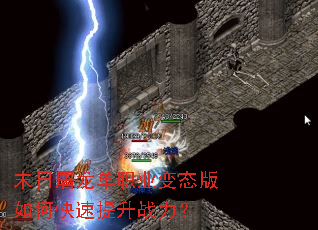 ĩ��������ְҵ��̬����ο�������ս����