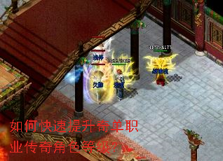 ��ο��������浥ְҵ�����ɫ�ȼ���