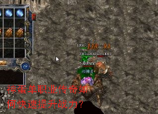 �񵰵�ְҵ������ο�������ս����