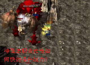 �񵰵�ְҵ������ο�������ս����