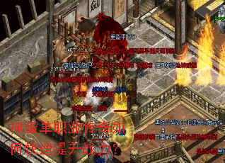 �񵰵�ְҵ������ο�������ս����