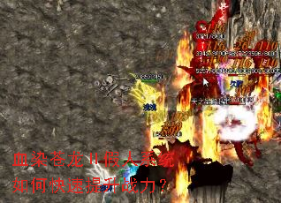 ѪȾ���������ϵͳ��ο�������ս����