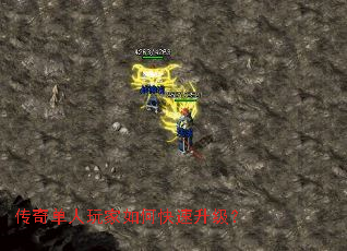 ���浥�������ο���������