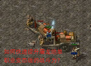 如何快速提升屠龙绝单职业变态版的战斗力? 如何快速提升屠龙绝单职业变态版的战斗力?