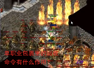 单职业包裹里的回收命令有什么作用? 单职业包裹里的回收命令有什么作用?